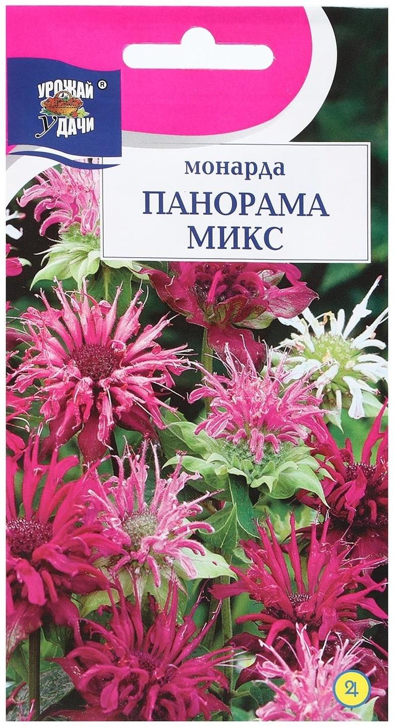Семена цветов Монарда 