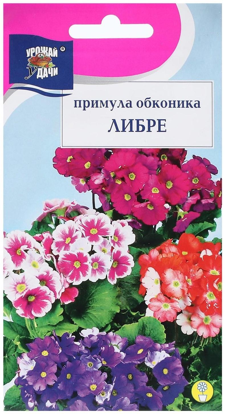 Семена цветов Примула 