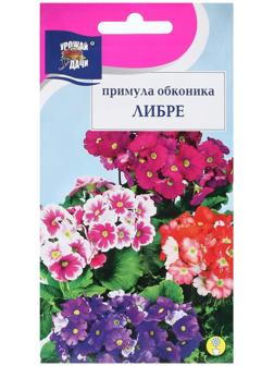 Семена цветов Примула 