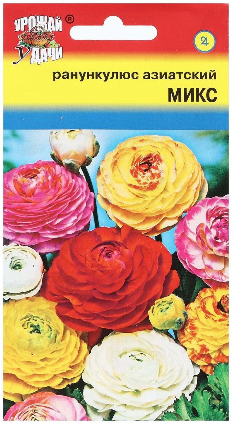 Семена цветов Ранункулюс махровая 