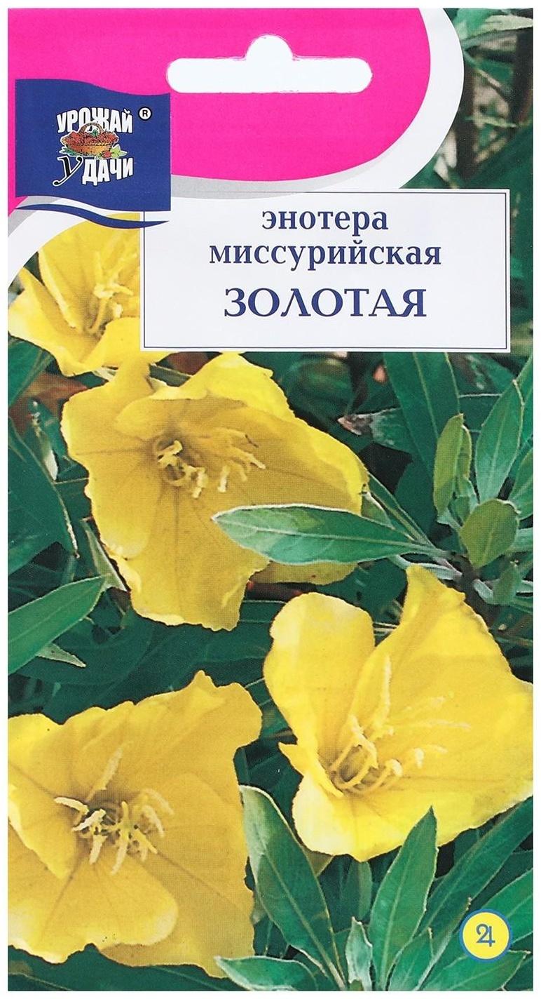 Семена цветов Энотера 