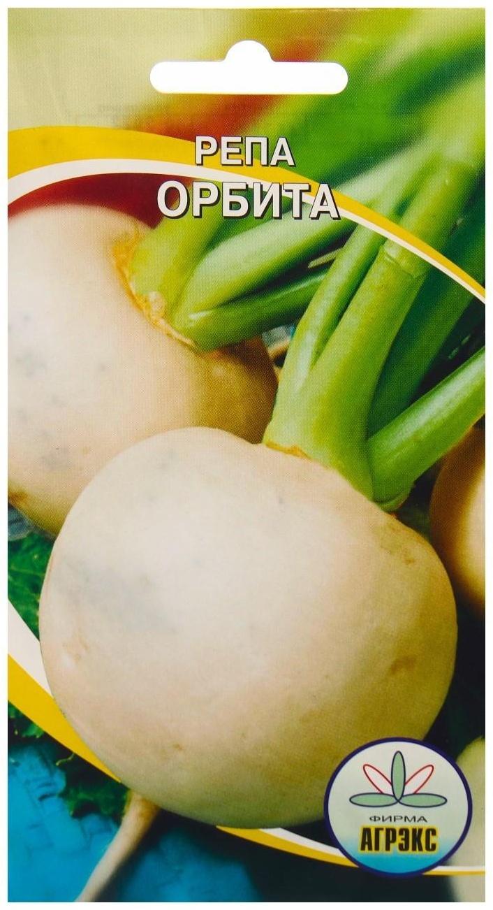 Семена Репа 