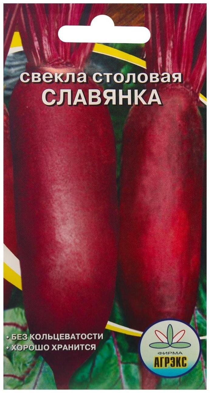 Семена Свекла 