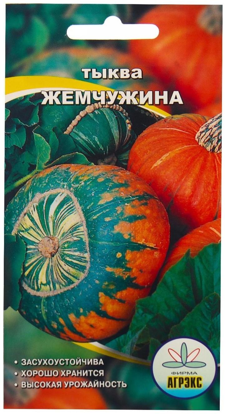 Семена Тыква 