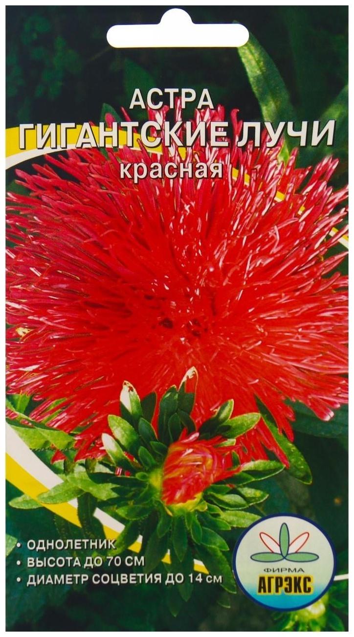 Семена Цветов Астра Гигантские лучи Красная, 0,2 г