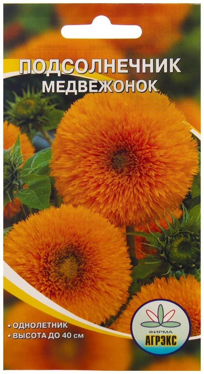 Семена Цветов Подсолнечник Медвежонок, 10 шт