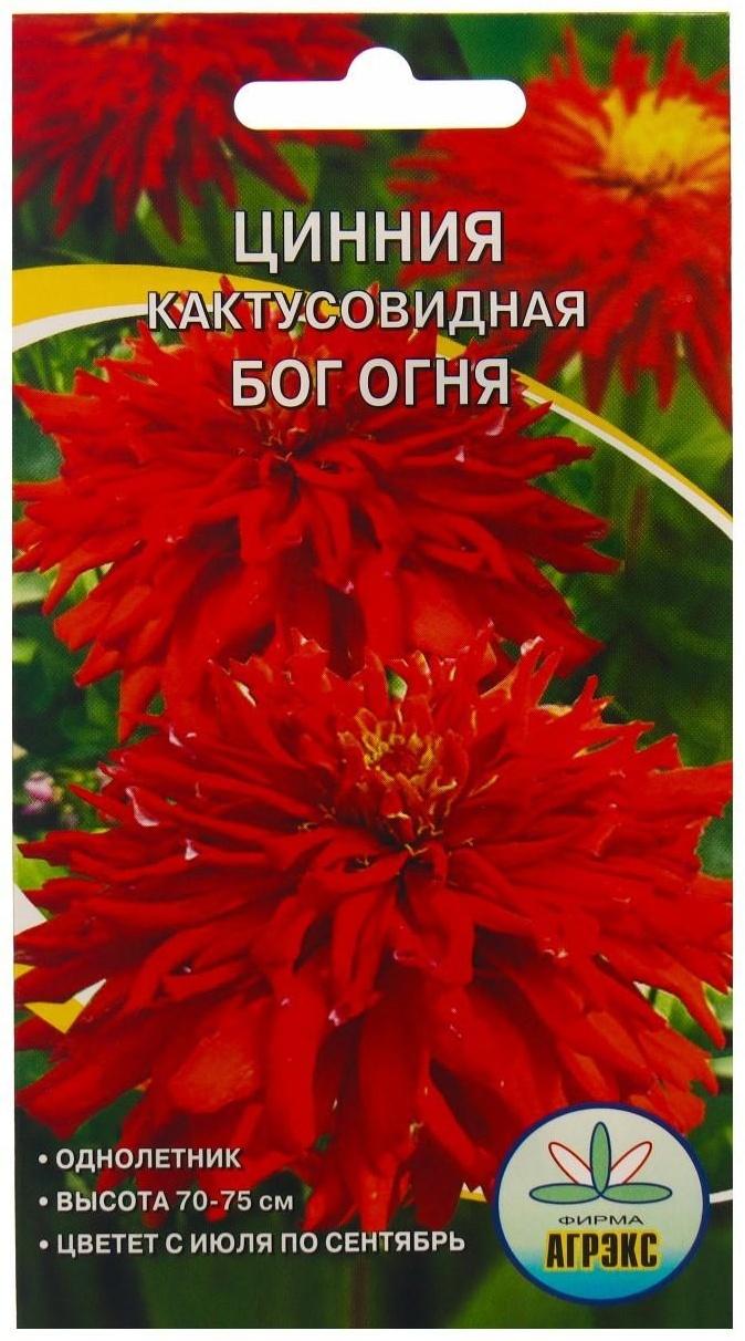 Семена Цветов Цинния кактусовидная Бог огня, 0,2 г