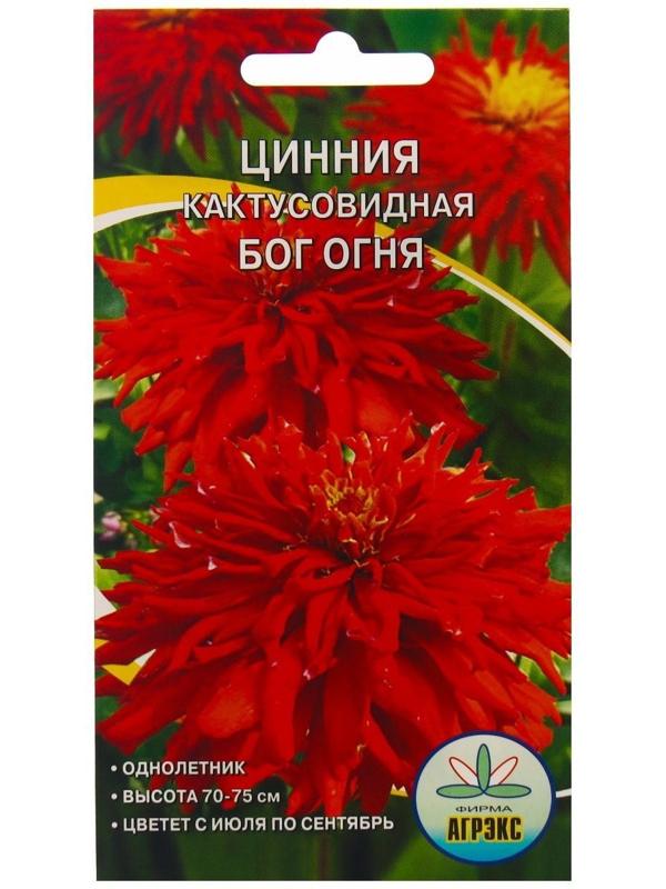 Семена Цветов Цинния кактусовидная Бог огня, 0,2 г