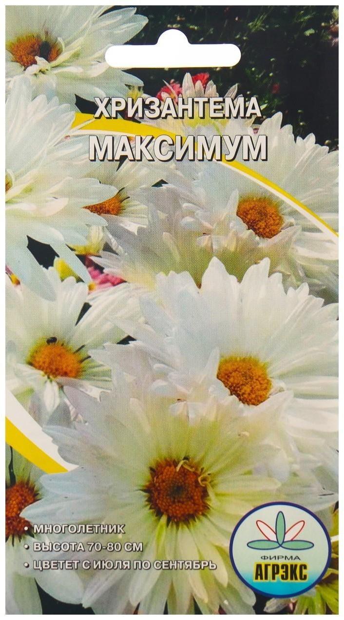 Семена Цветов Хризантема Максимум , 0,1 г