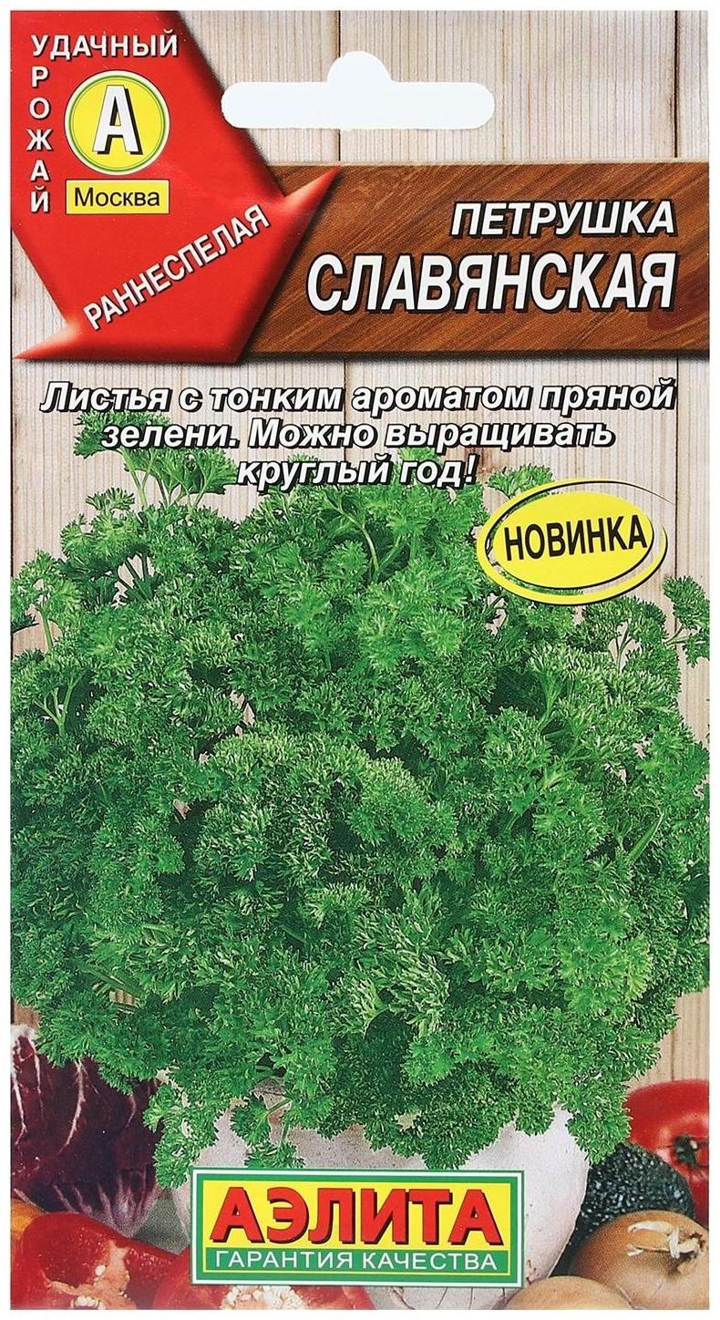Семена Петрушка кудрявая 
