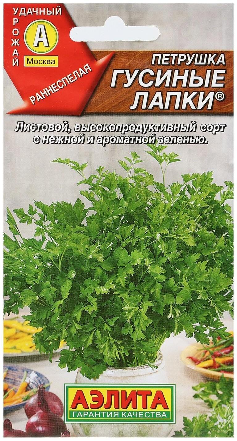 Семена Петрушка листовая 