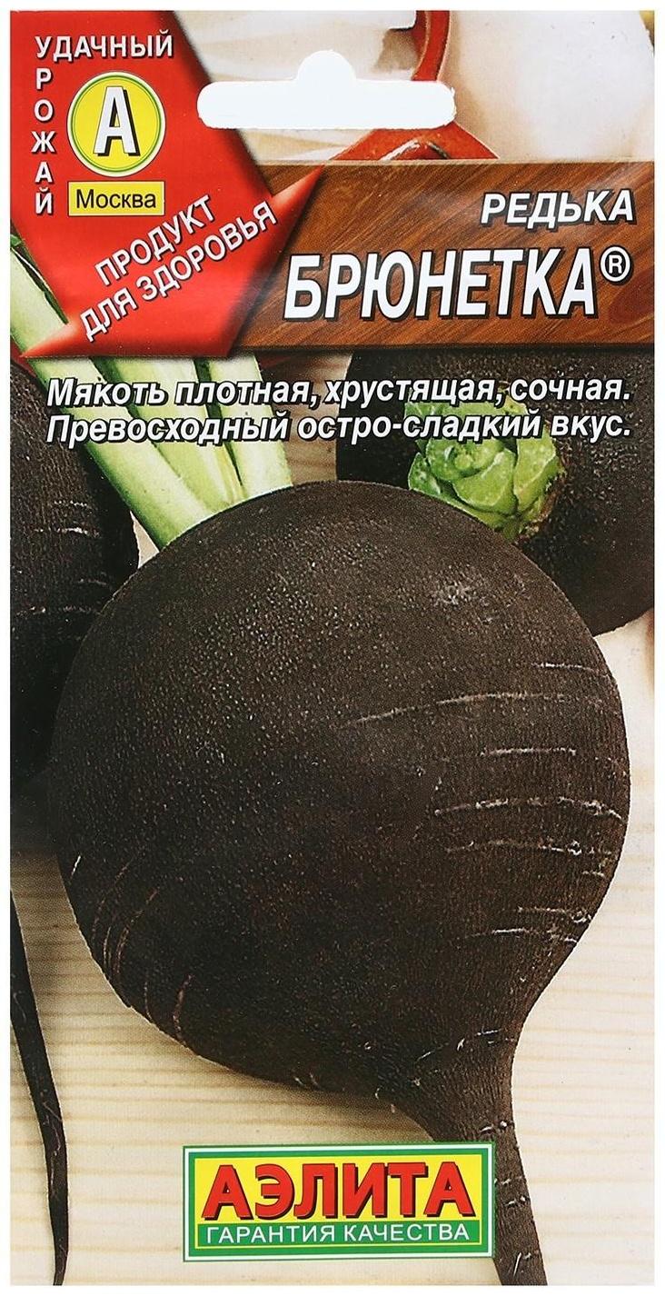 Семена Редька 