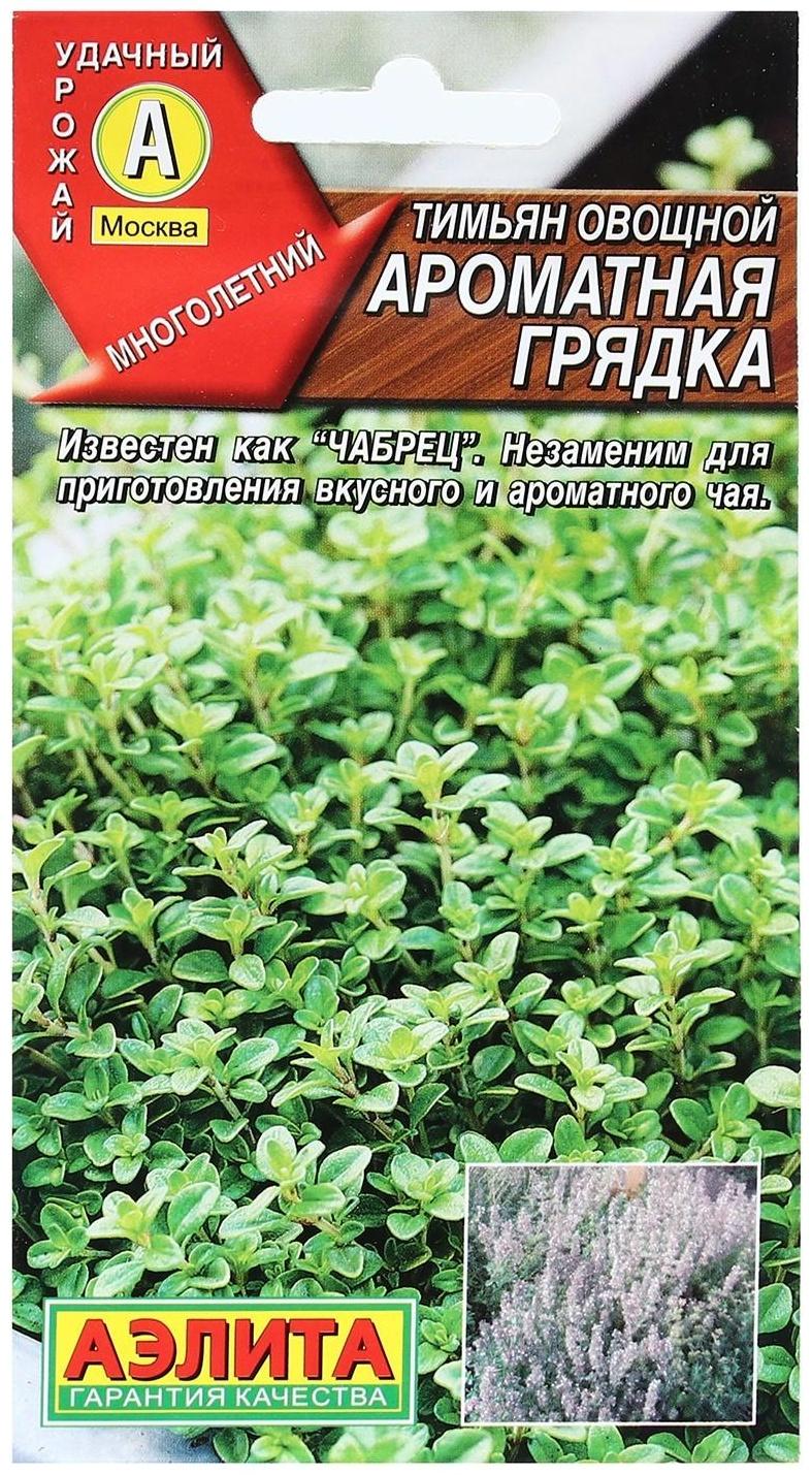 Семена Тимьян овощной 