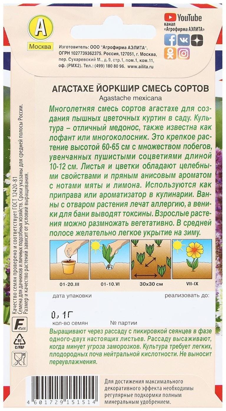 Семена Цветов Агастахе 