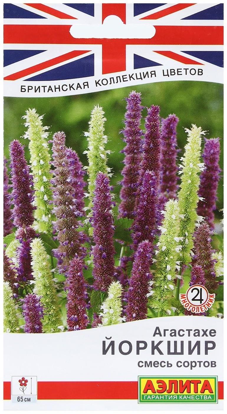 Семена Цветов Агастахе 