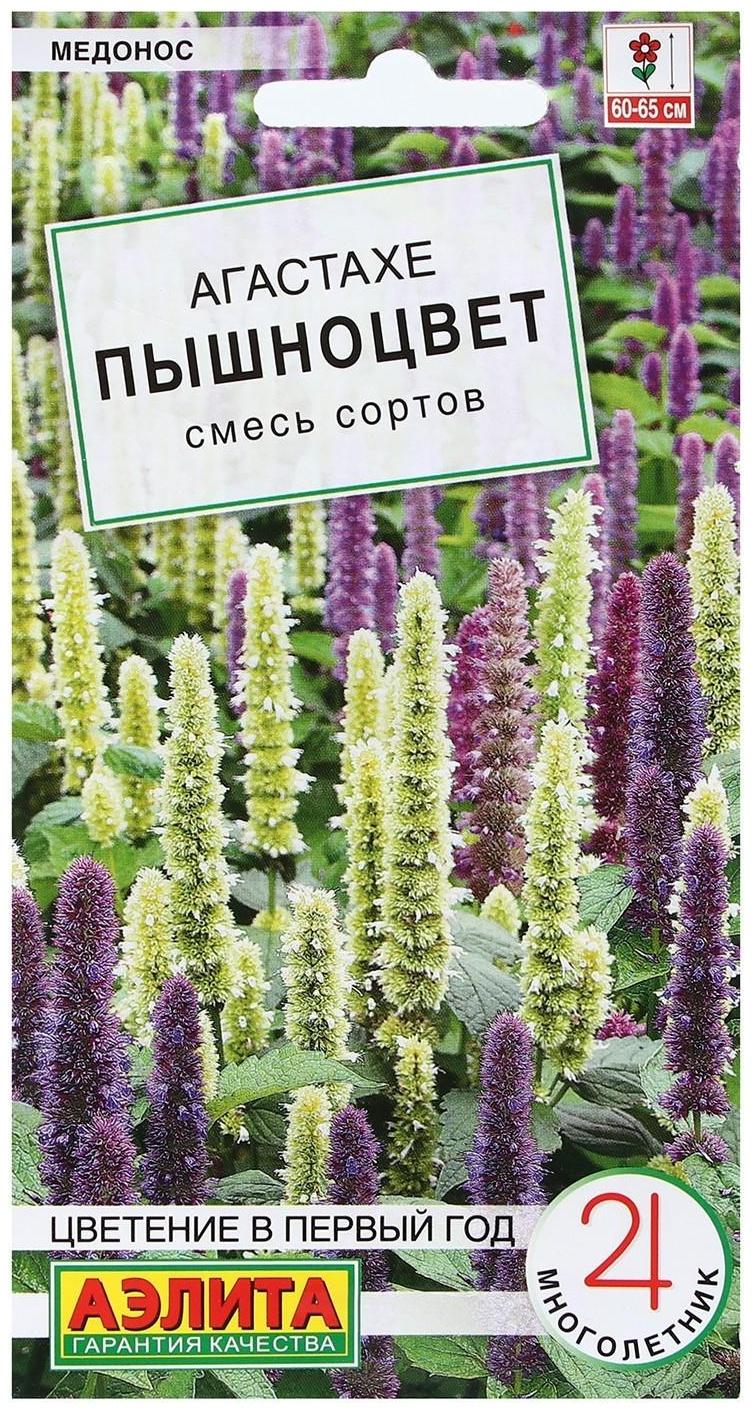 Семена Цветов Агастахе 