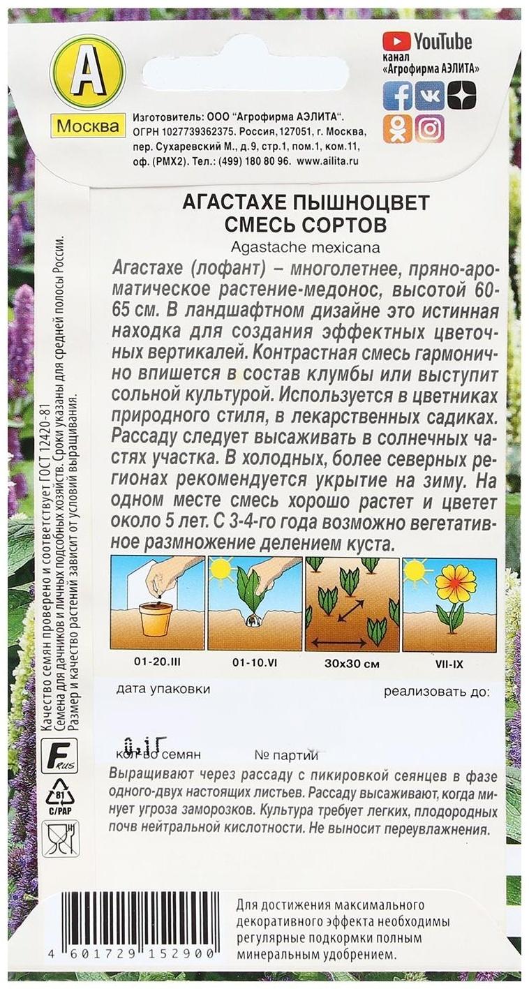 Семена Цветов Агастахе 