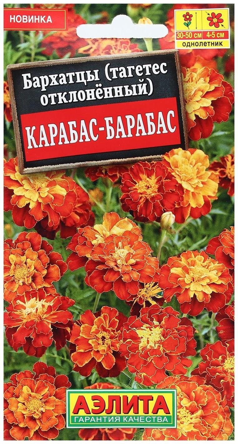 Семена Цветов Бархатцы 