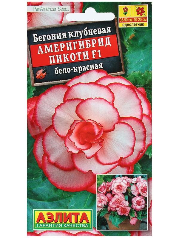 Семена Цветов Бегония 