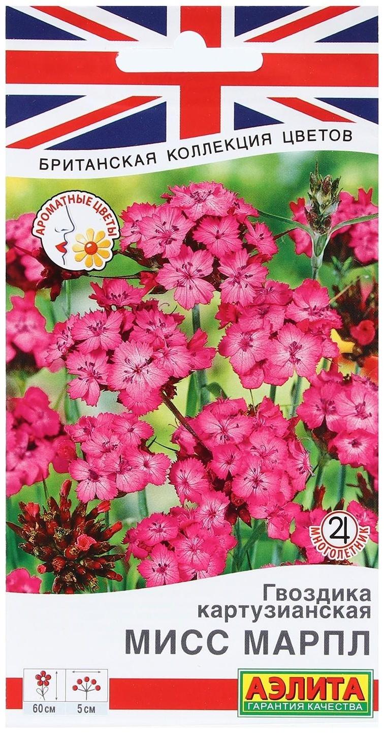 Семена Цветов Гвоздика картузианская 