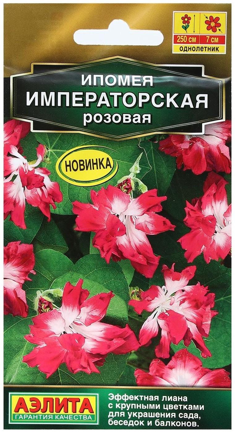 Семена Цветов Ипомея 