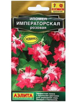 Семена Цветов Ипомея 