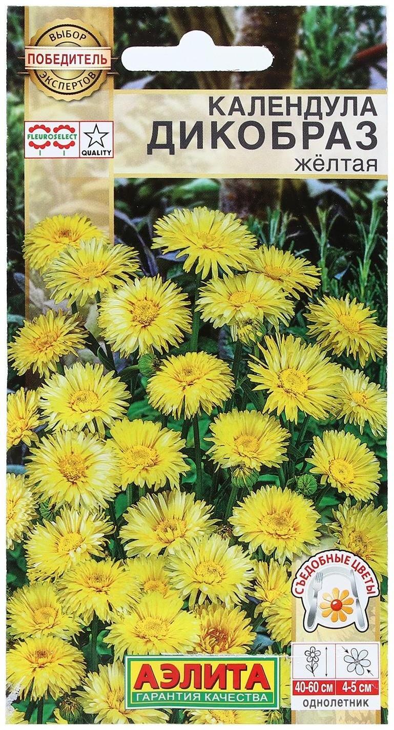 Семена Цветов Календула 