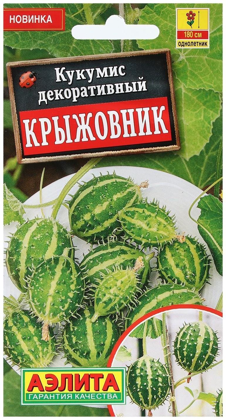 Семена Цветов Кукумис декоративный 