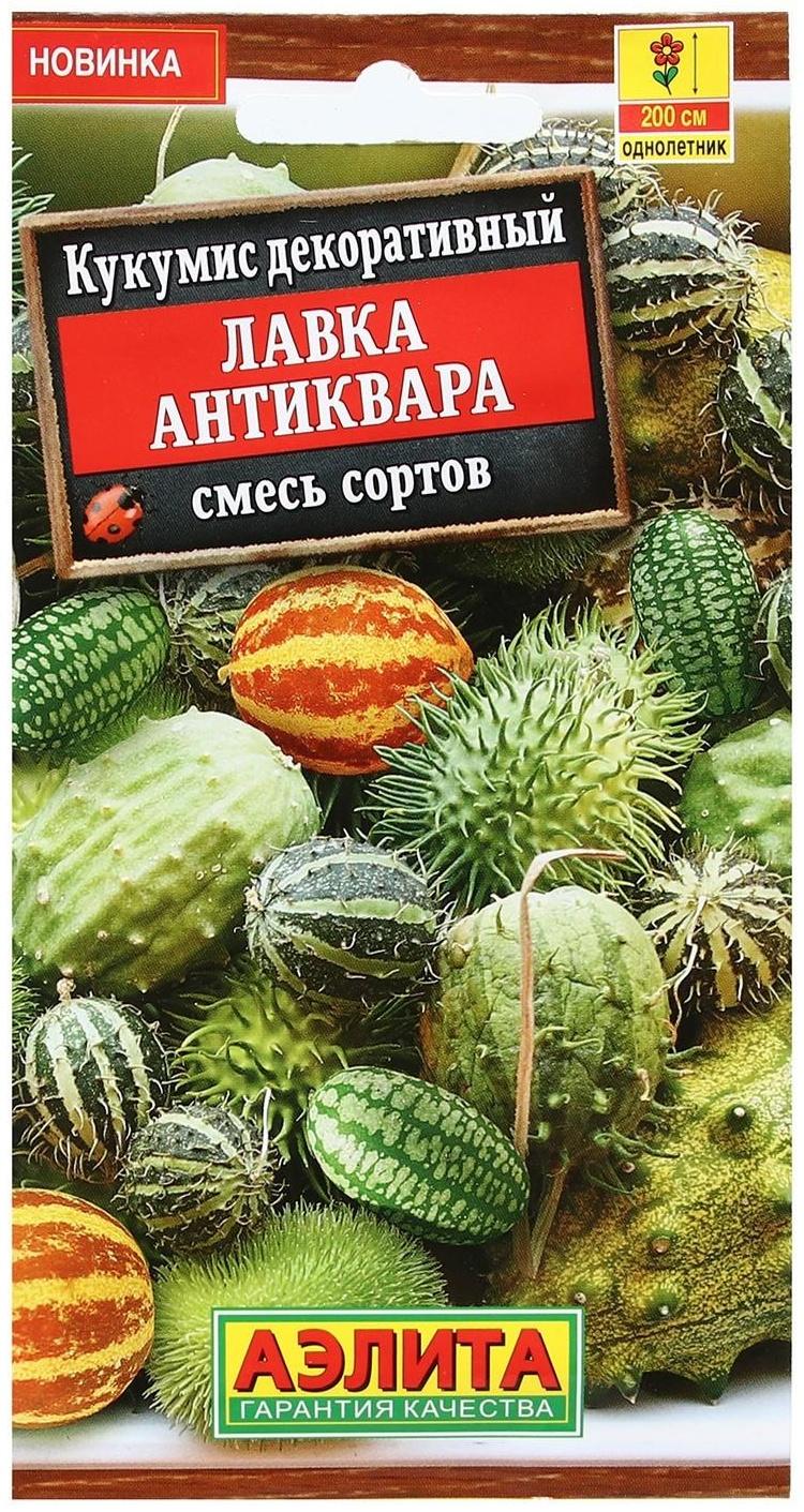 Семена Цветов Кукумис декоративный 