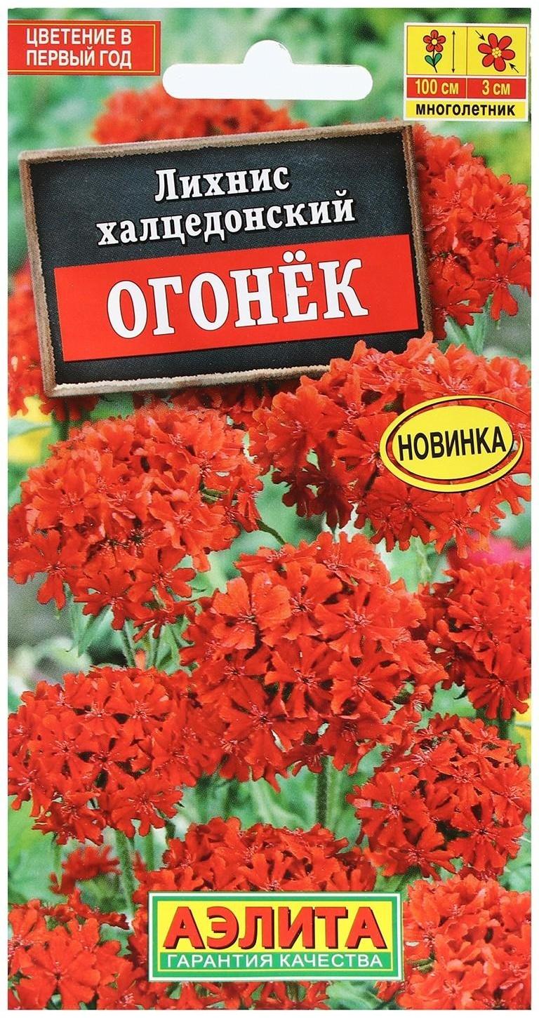 Семена Цветов Лихнис 