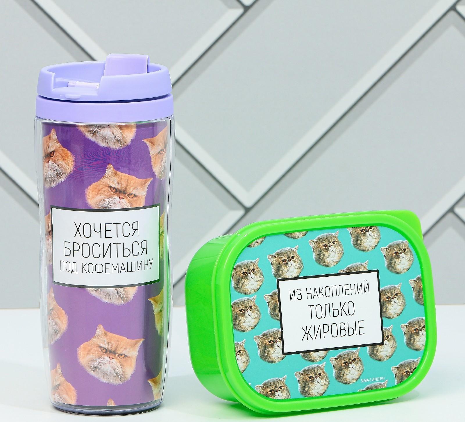 Подарочный набор «Толстые котики»: термостакан 350 мл., ланч-бокс 500 мл