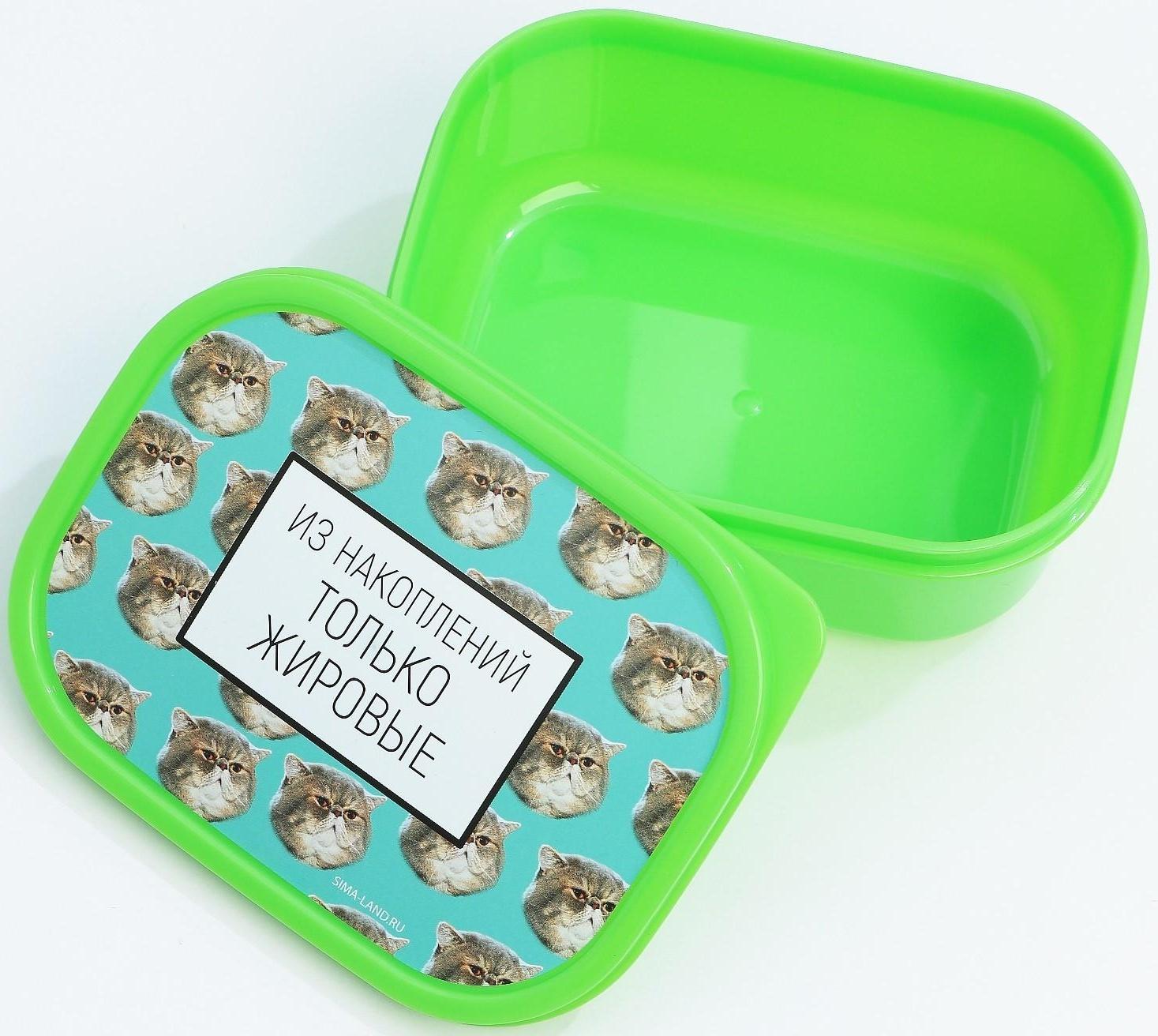 Подарочный набор «Толстые котики»: термостакан 350 мл., ланч-бокс 500 мл