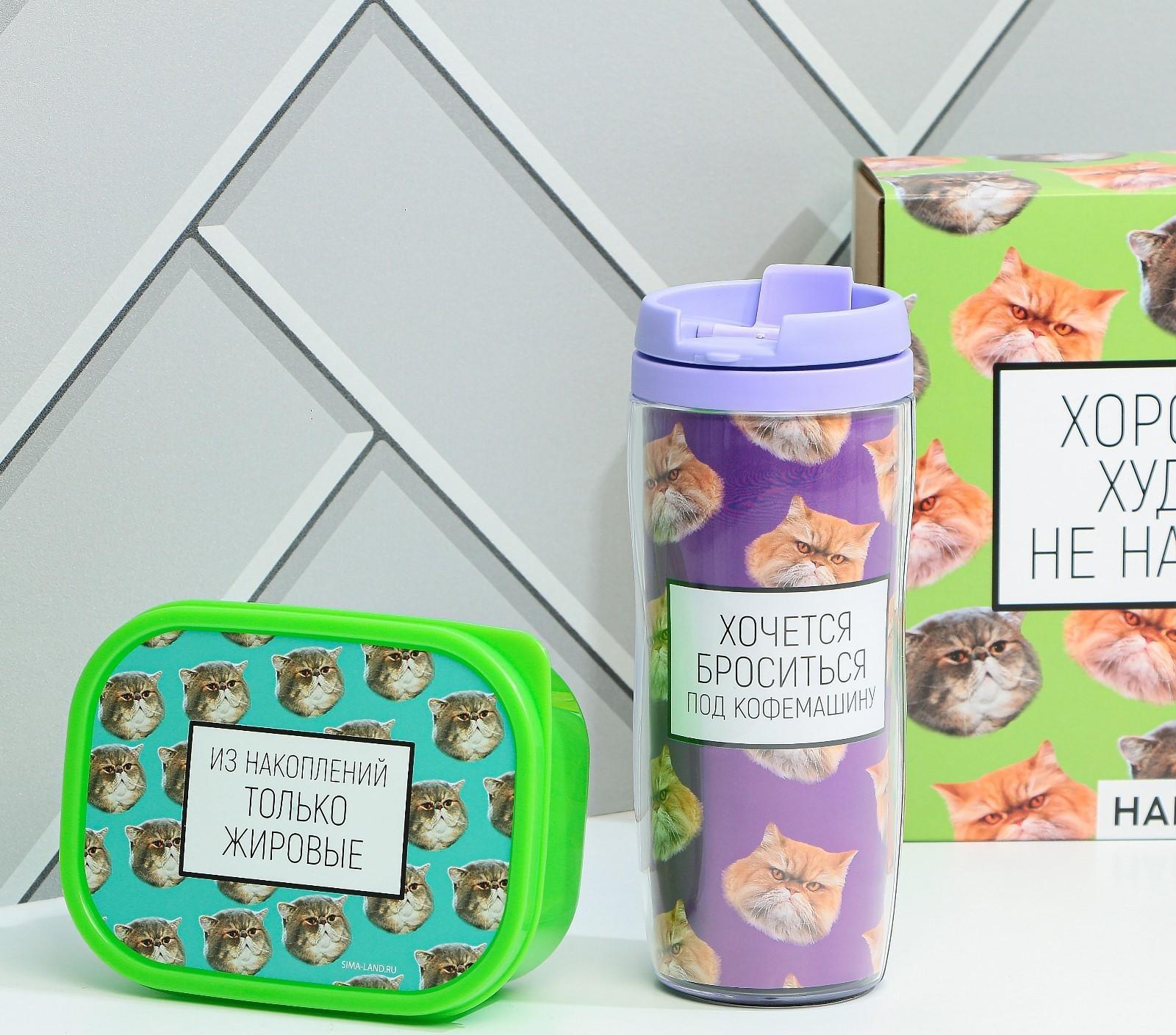 Подарочный набор «Толстые котики»: термостакан 350 мл., ланч-бокс 500 мл