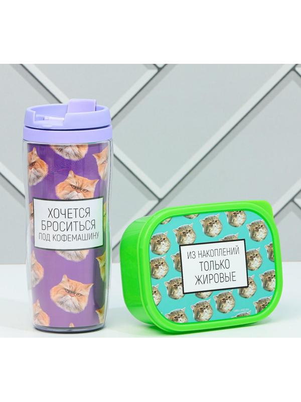 Подарочный набор «Толстые котики»: термостакан 350 мл., ланч-бокс 500 мл