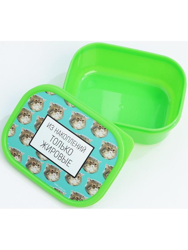 Подарочный набор «Толстые котики»: термостакан 350 мл., ланч-бокс 500 мл