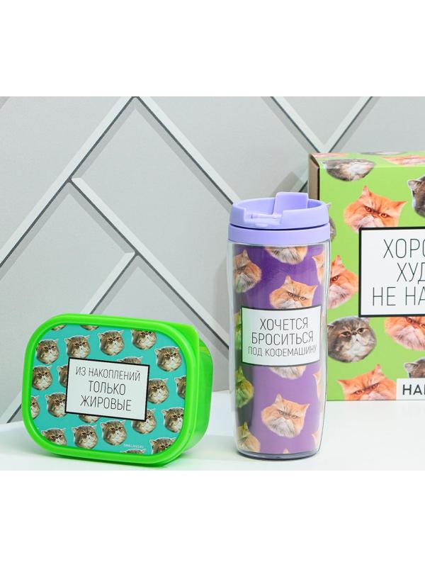Подарочный набор «Толстые котики»: термостакан 350 мл., ланч-бокс 500 мл