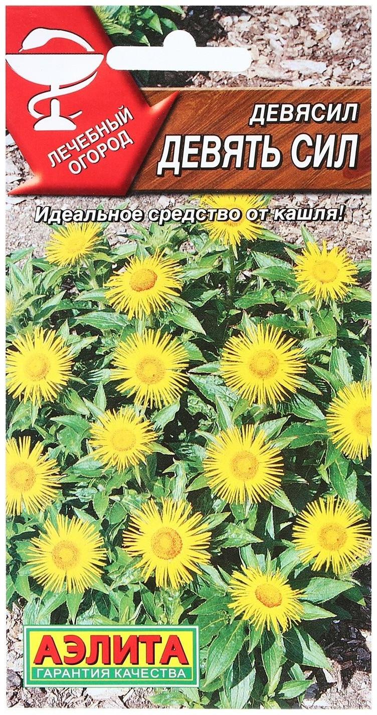 Семена Девясил 