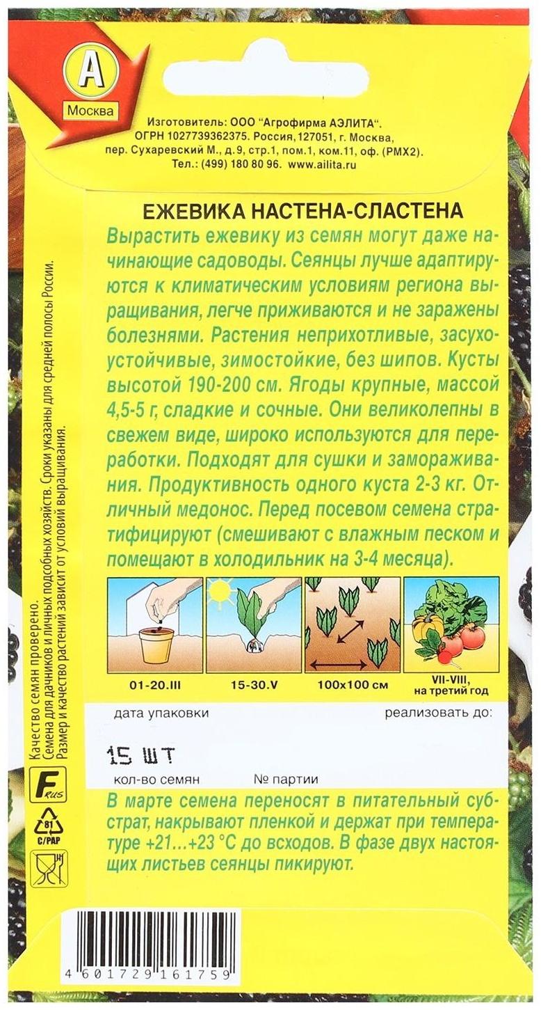 Семена Ежевика 