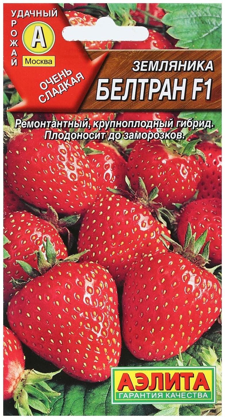 Семена Земляника 