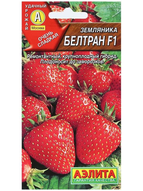 Семена Земляника 