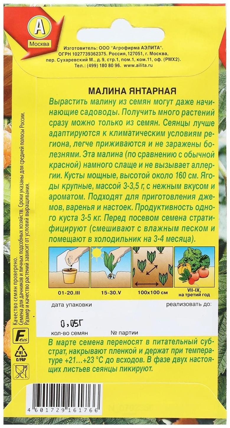 Семена Малина 