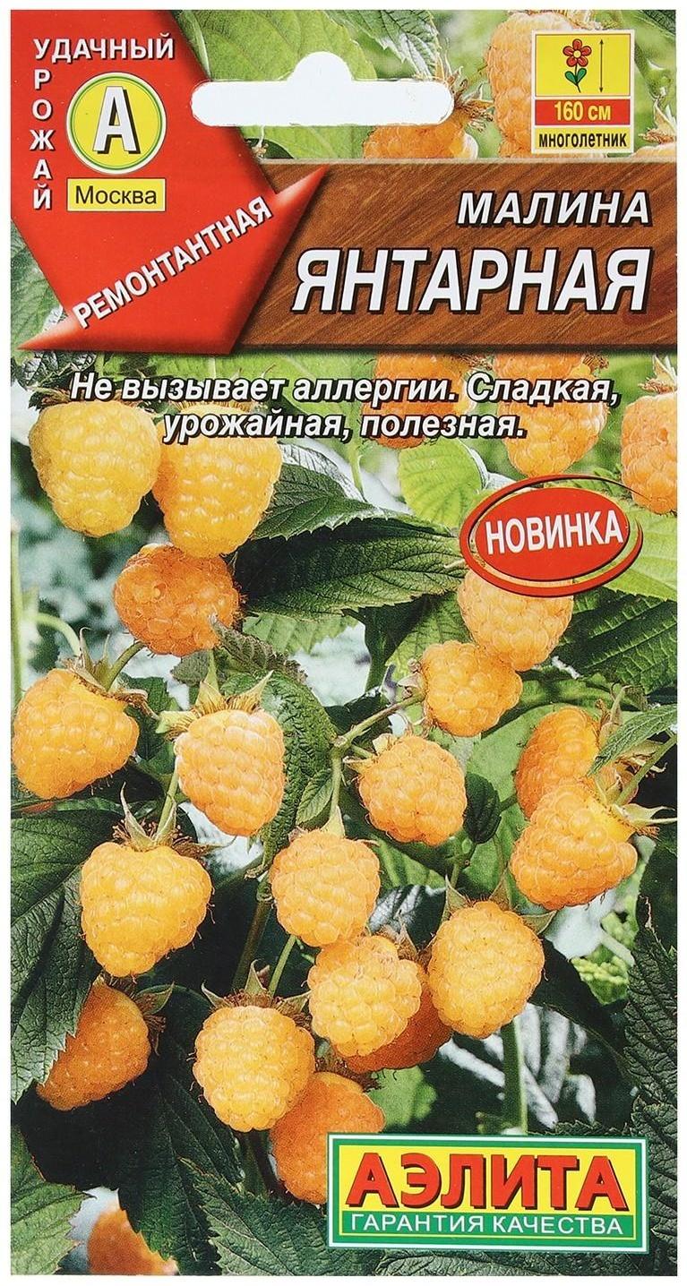 Семена Малина 