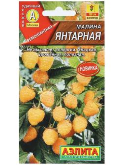 Семена Малина 