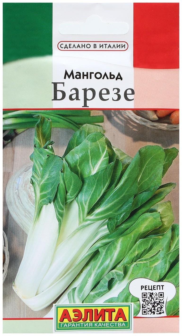 Семена Мангольд 