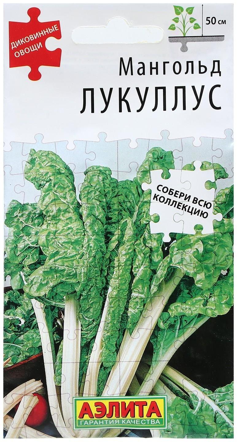 Семена Мангольд 