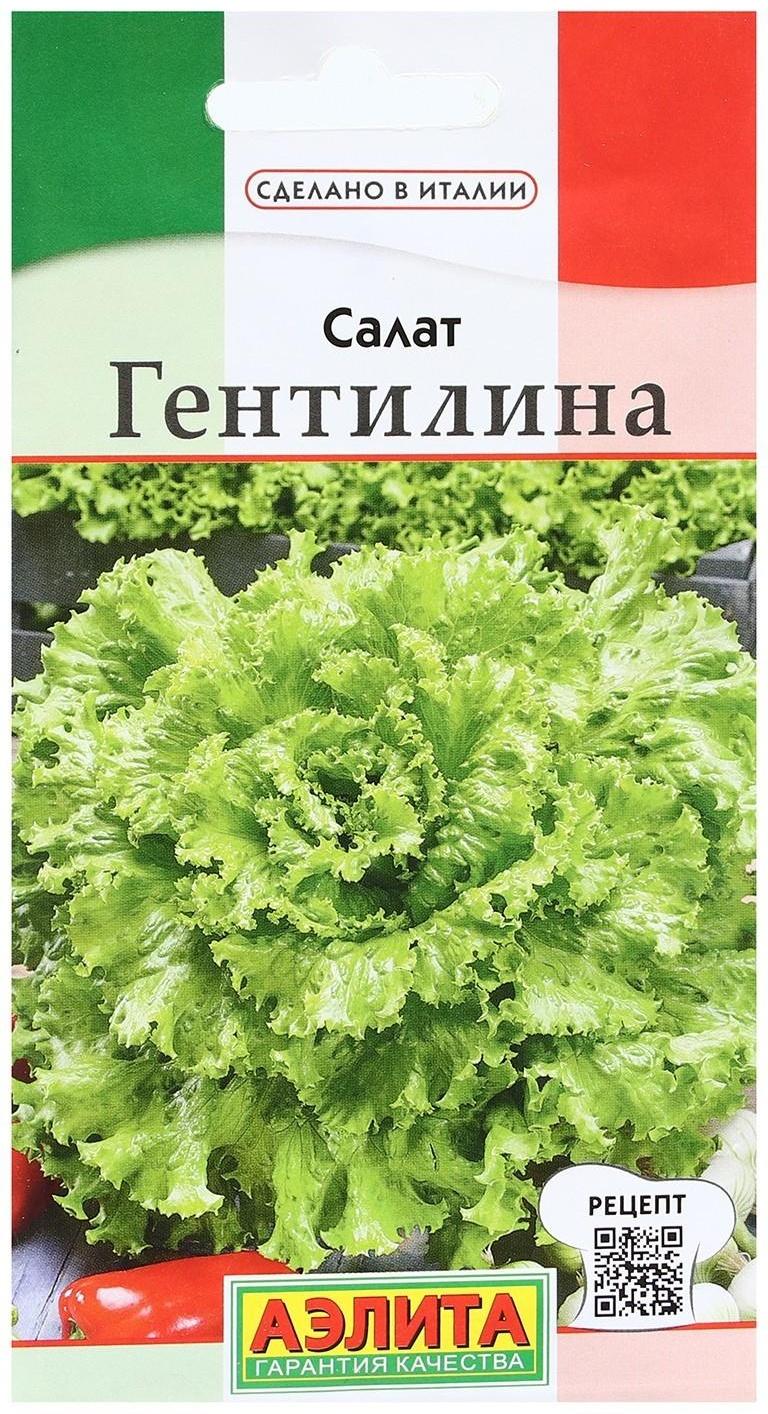 Семена Салат 