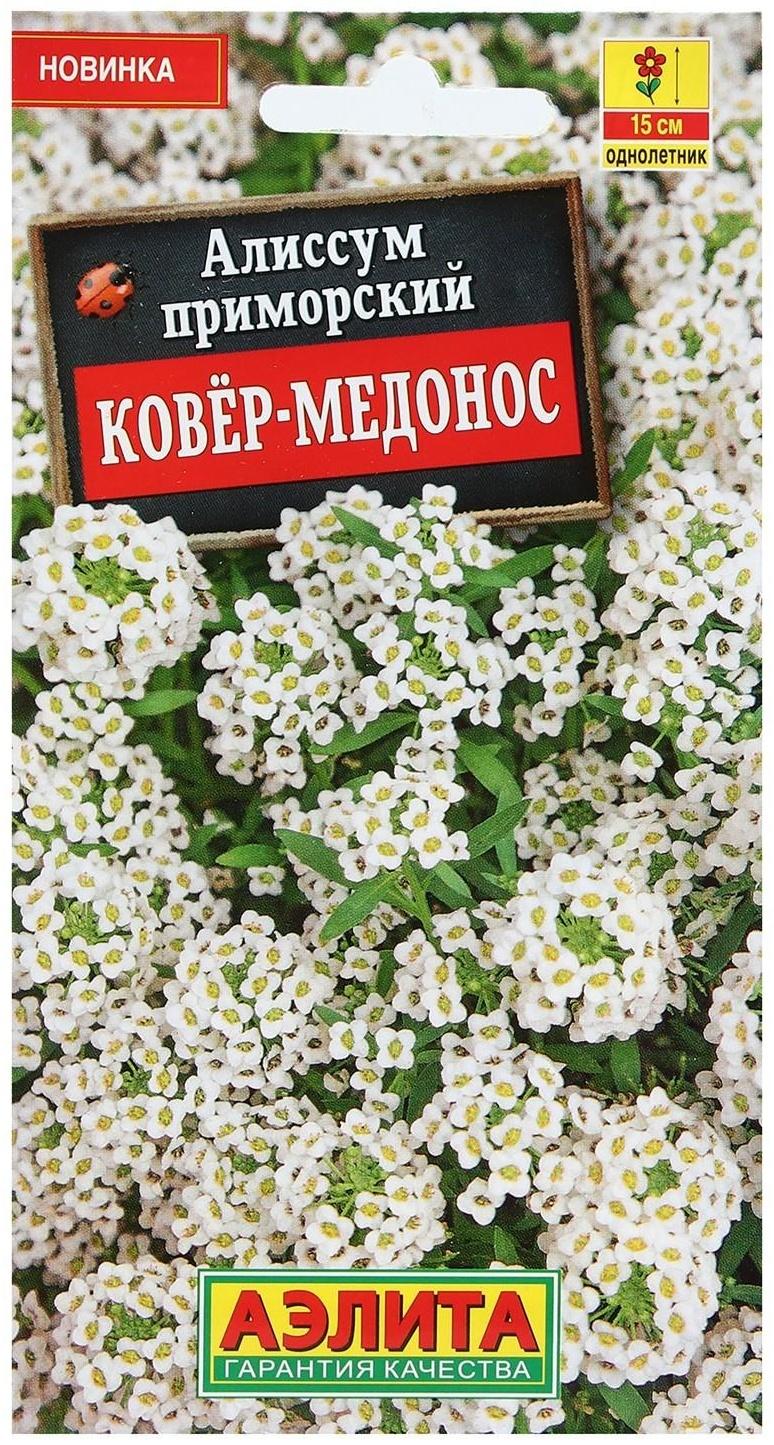 Семена Цветов Алиссум 