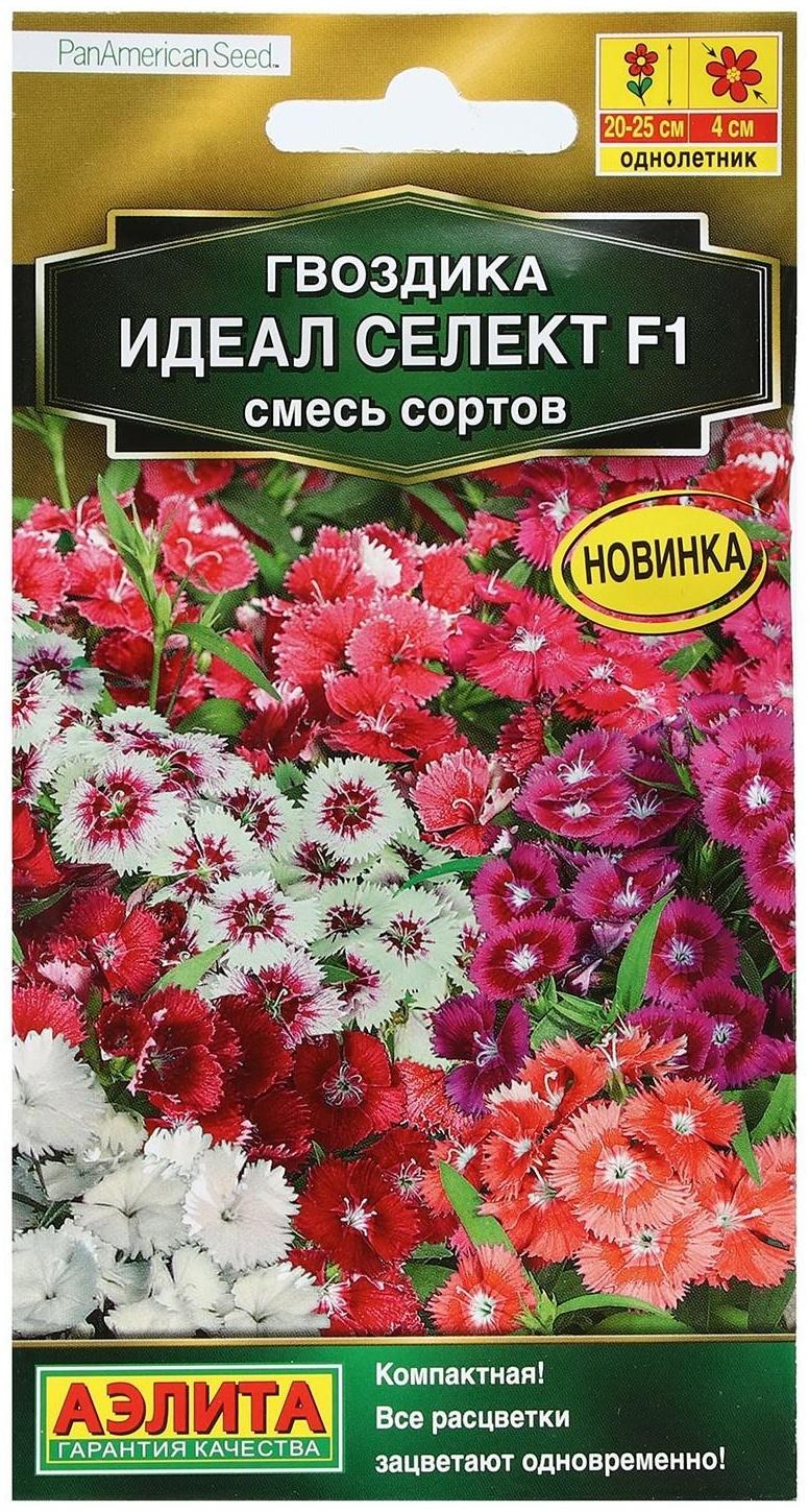 Семена Цветов Гвоздика гибридная 