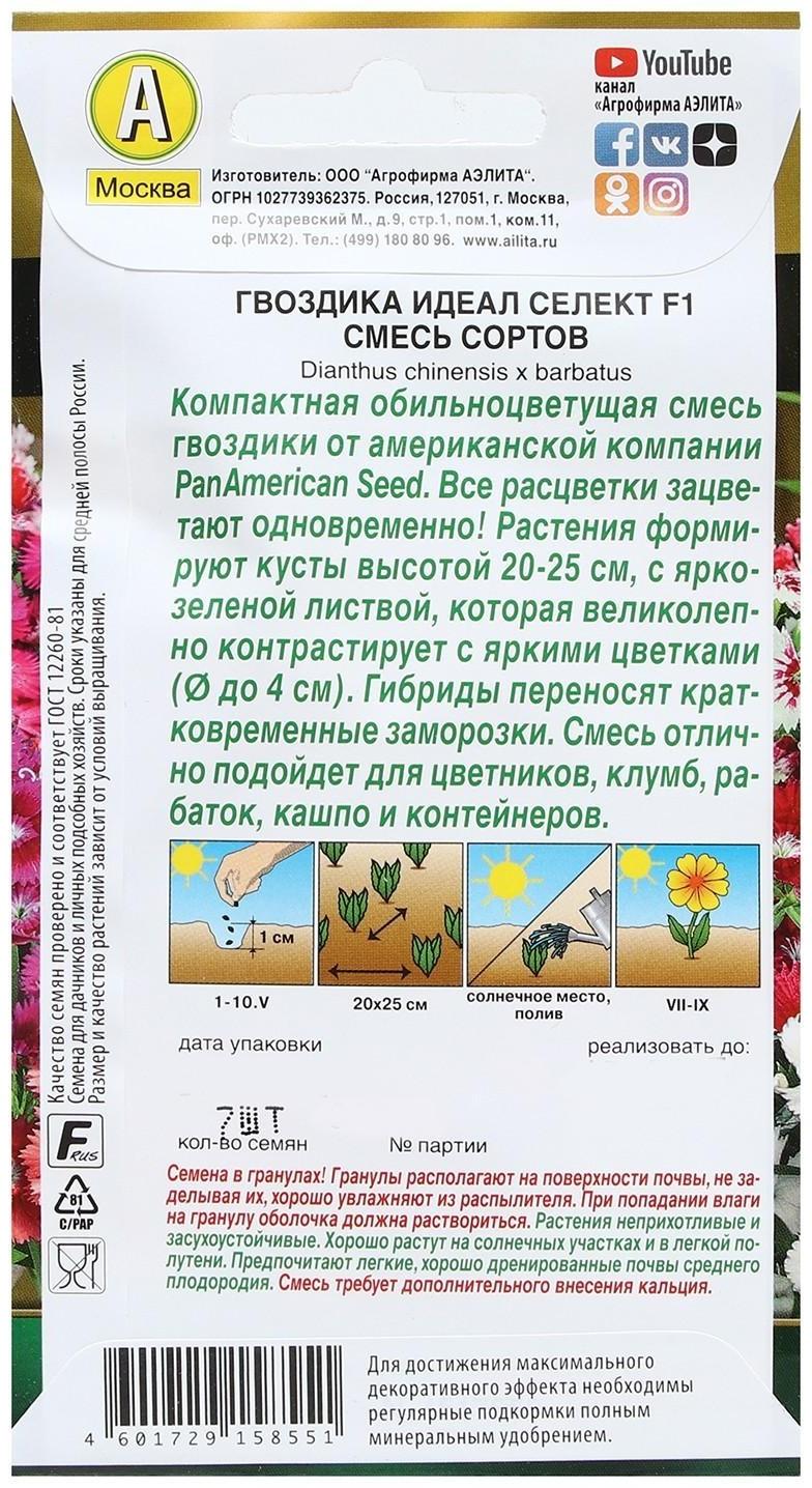 Семена Цветов Гвоздика гибридная 