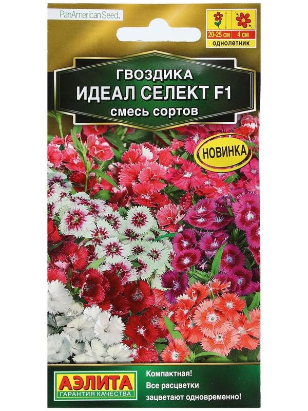 Семена Цветов Гвоздика гибридная 